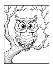 Load image into Gallery viewer, Halloween Coloring Book for Adults Kids, Printed Physical Book, 25 Bold Easy Spooky Designs, Single-Sided Pages, Perfect Halloween Gift