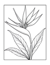 Load image into Gallery viewer, Botanical Coloring Book for Adults and Kids, Printed Physical Book, 25 Bold Easy Plant Designs, Single Sided Nature Art Therapy Gift