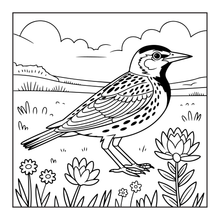 Load image into Gallery viewer, Cute Birds Flowers Coloring Book for Adults Kids Easy Nature Pages for Relaxation and Stress Relief