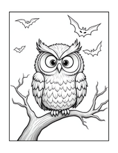 Load image into Gallery viewer, Halloween Coloring Book for Adults Kids, Printed Physical Book, 25 Bold Easy Spooky Designs, Single-Sided Pages, Perfect Halloween Gift