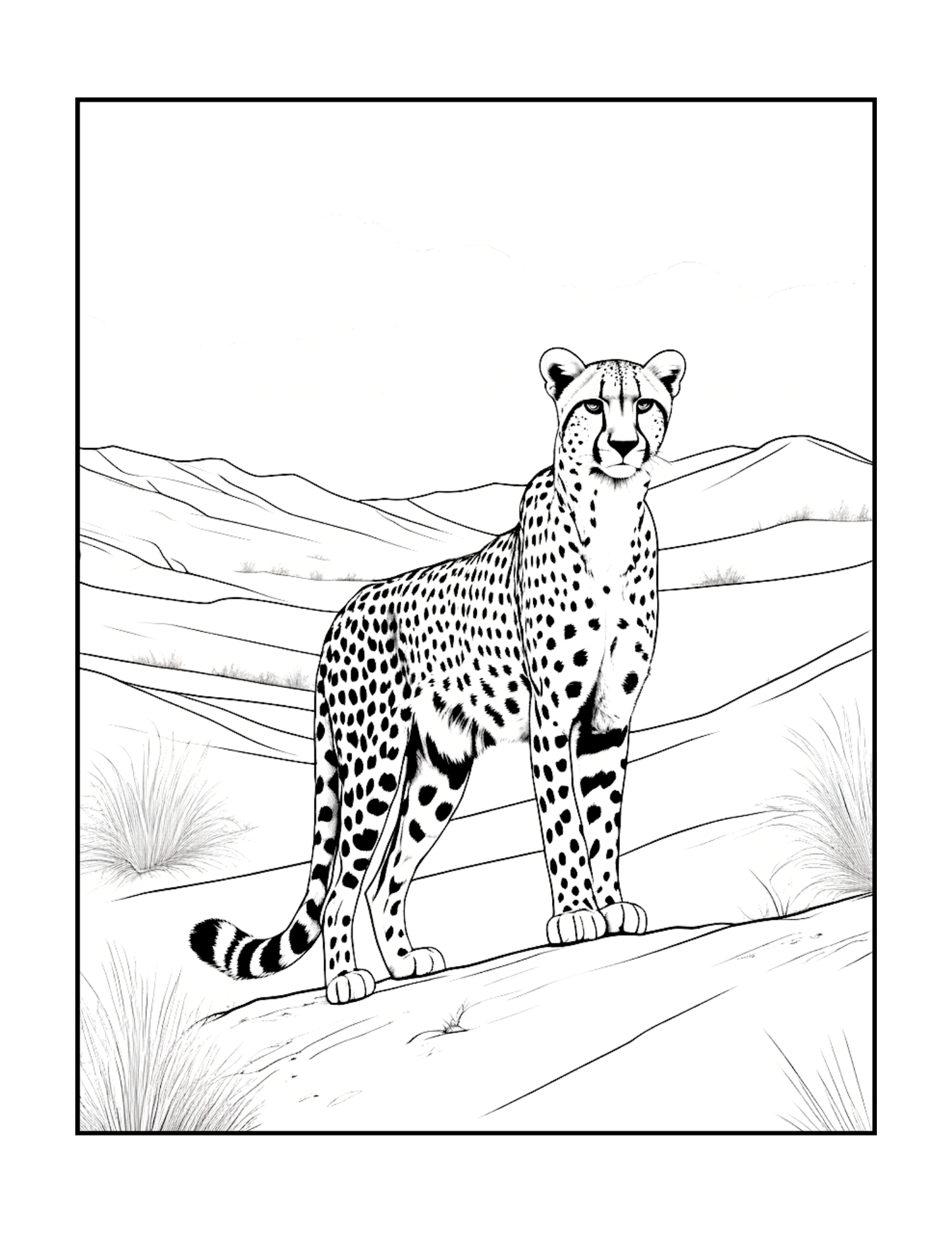 Cool Cheetah Coloring Book Gift for Adults Kids Boys Girls Teens Youth 50 Pages Single Sided Relaxation Wildlife Safari Zoo Animal Coloring