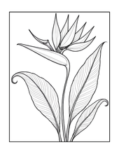 Load image into Gallery viewer, Botanical Coloring Book for Adults and Kids, Printed Physical Book, 25 Bold Easy Plant Designs, Single Sided Nature Art Therapy Gift
