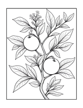 Load image into Gallery viewer, Botanical Coloring Book for Adults and Kids, Printed Physical Book, 25 Bold Easy Plant Designs, Single Sided Nature Art Therapy Gift