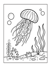Load image into Gallery viewer, Cozy Cute Sea Creatures Coloring Book for Kids Adults Boys Girls Teens: Cool Underwater Animals Sea Ocean Fish Coloring Activity Book