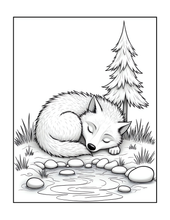 Load image into Gallery viewer, Cute Wolf Coloring Book for Kids and Adults, Bold and Easy Printed Coloring Book, 25 Single-Sided Wolf Designs, Animal Gift for All Ages