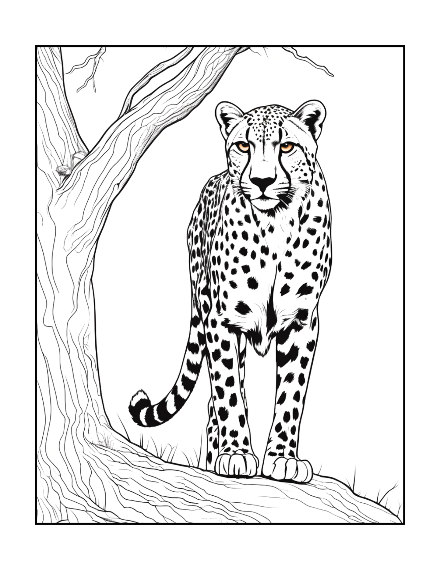 Cool Cheetah Coloring Book Gift for Adults Kids Boys Girls Teens Youth 50 Pages Single Sided Relaxation Wildlife Safari Zoo Animal Coloring