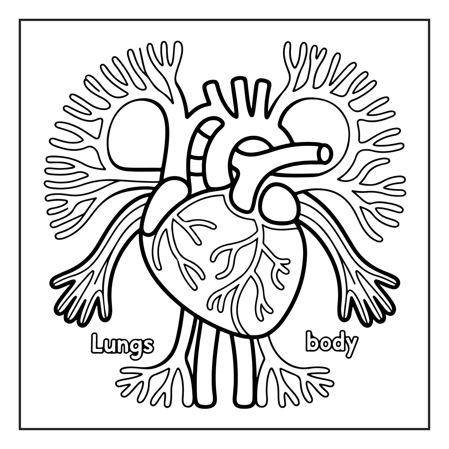 Human Physiology Coloring Book for Kids Young Boys Girls Teens Bold Easy Human Body Anatomy Coloring Activity Book Gift Children Students