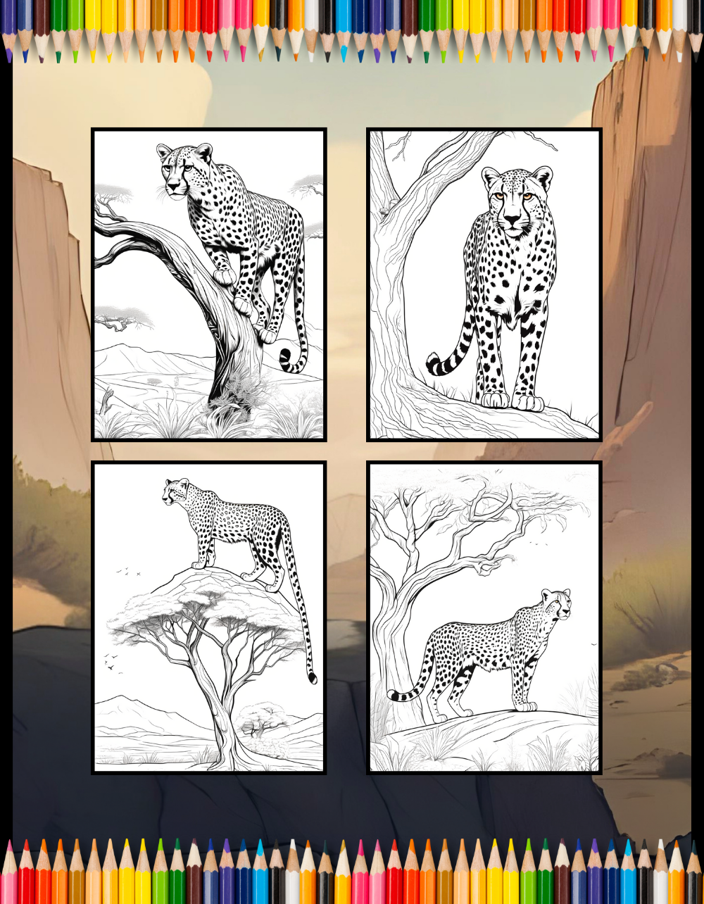 Cool Cheetah Coloring Book Gift for Adults Kids Boys Girls Teens Youth 50 Pages Single Sided Relaxation Wildlife Safari Zoo Animal Coloring
