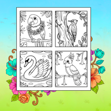 Load image into Gallery viewer, Cute Birds Flowers Coloring Book for Adults Kids Easy Nature Pages for Relaxation and Stress Relief

