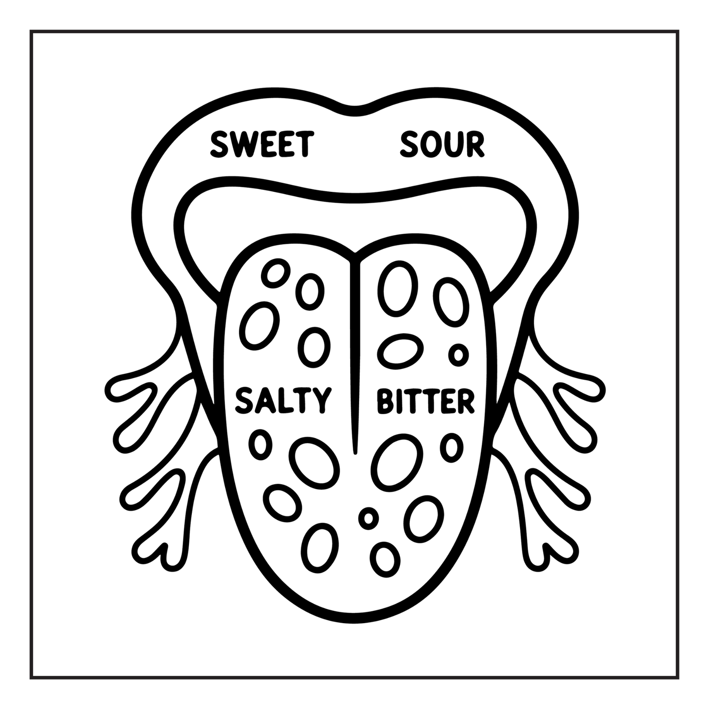 Human Physiology Coloring Book for Kids Young Boys Girls Teens Bold Easy Human Body Anatomy Coloring Activity Book Gift Children Students