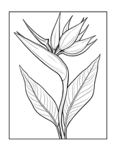 Load image into Gallery viewer, Botanical Coloring Book for Adults and Kids, Printed Physical Book, 25 Bold Easy Plant Designs, Single Sided Nature Art Therapy Gift
