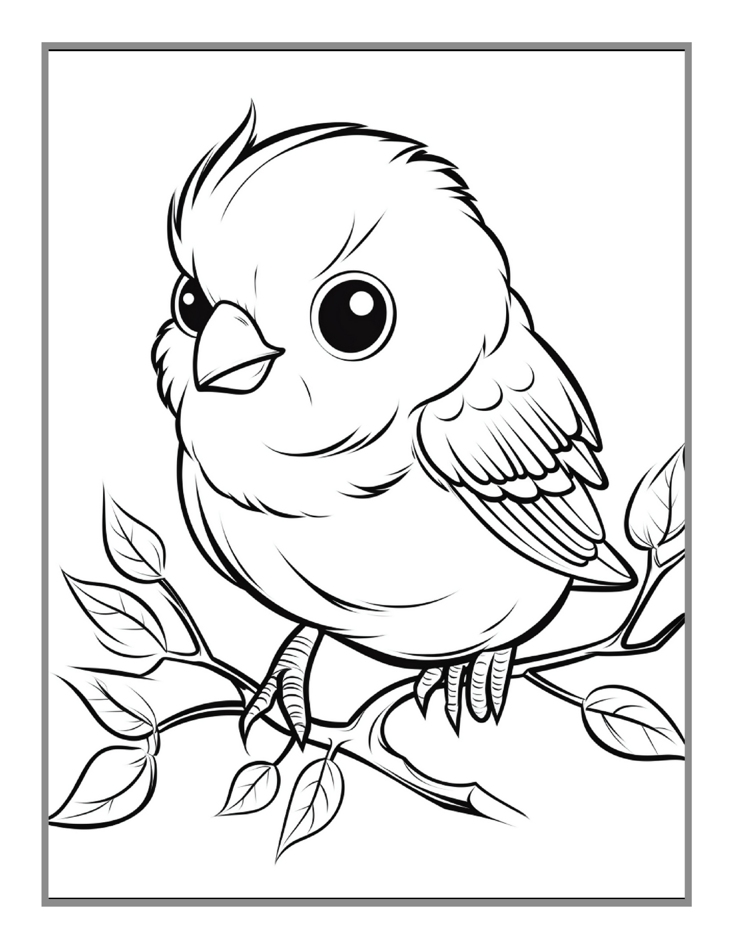 Funny Bird Coloring Book Gift for Adults Kids Men Women Boys Girls Children Seniors 50 Pages Bird Animal Lover Pet Owner Coloring Sheets