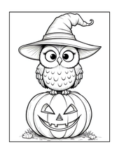 Load image into Gallery viewer, Halloween Coloring Book for Adults Kids, Printed Physical Book, 25 Bold Easy Spooky Designs, Single-Sided Pages, Perfect Halloween Gift

