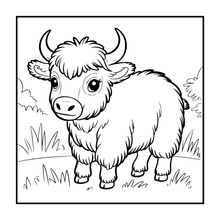 Load image into Gallery viewer, Highland Cow Coloring Book Gift for Adults Kids Boys Girls Teens: Single Sided Pages 25 Designs Cozy Cow Coloring Book for Children
