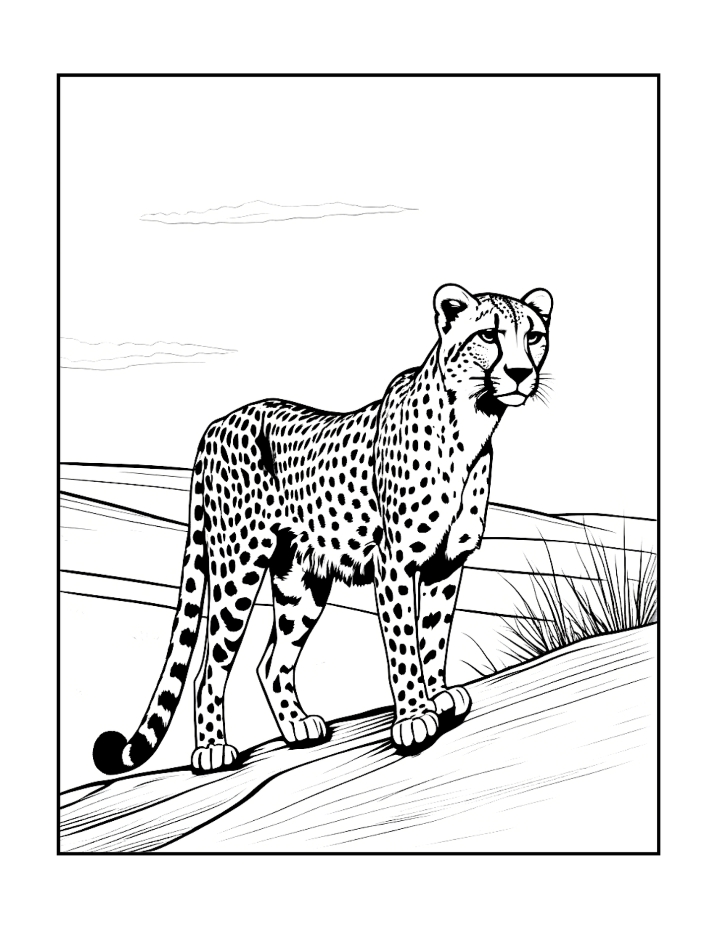 Cool Cheetah Coloring Book Gift for Adults Kids Boys Girls Teens Youth 50 Pages Single Sided Relaxation Wildlife Safari Zoo Animal Coloring