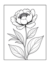 Load image into Gallery viewer, Botanical Coloring Book for Adults and Kids, Printed Physical Book, 25 Bold Easy Plant Designs, Single Sided Nature Art Therapy Gift
