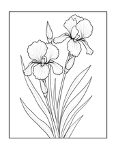 Load image into Gallery viewer, Botanical Coloring Book for Adults and Kids, Printed Physical Book, 25 Bold Easy Plant Designs, Single Sided Nature Art Therapy Gift

