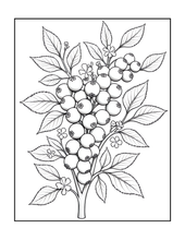 Load image into Gallery viewer, Botanical Coloring Book for Adults and Kids, Printed Physical Book, 25 Bold Easy Plant Designs, Single Sided Nature Art Therapy Gift
