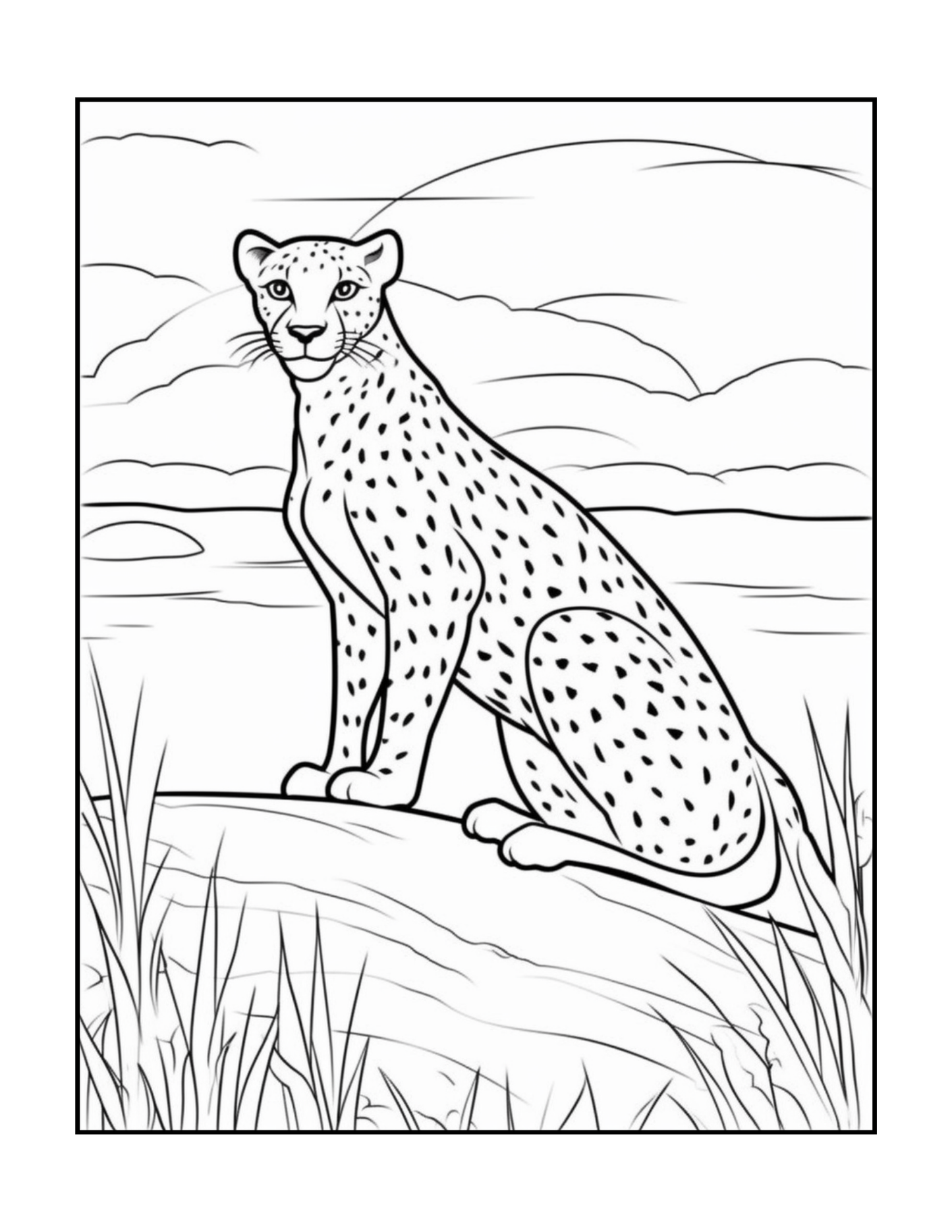 Cool Cheetah Coloring Book Gift for Adults Kids Boys Girls Teens Youth 50 Pages Single Sided Relaxation Wildlife Safari Zoo Animal Coloring
