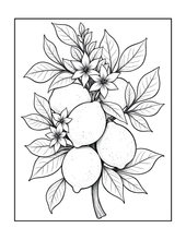 Load image into Gallery viewer, Botanical Coloring Book for Adults and Kids, Printed Physical Book, 25 Bold Easy Plant Designs, Single Sided Nature Art Therapy Gift
