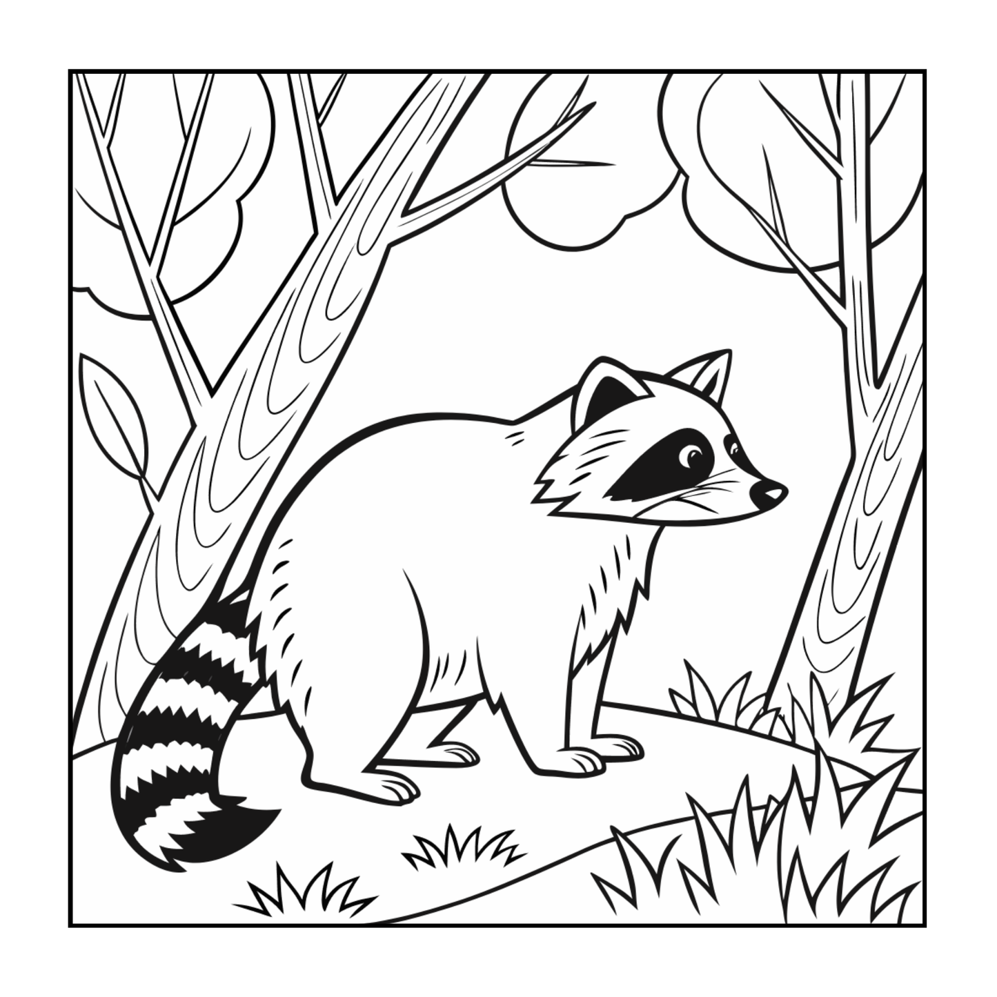 Cute Cozy Raccoon Animal Coloring Book Gift for Adults Kids Boys Girls Teens Bold and Easy Raccoon Coloring Activity Book for Children