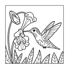 Load image into Gallery viewer, Cute Birds Flowers Coloring Book for Adults Kids Easy Nature Pages for Relaxation and Stress Relief
