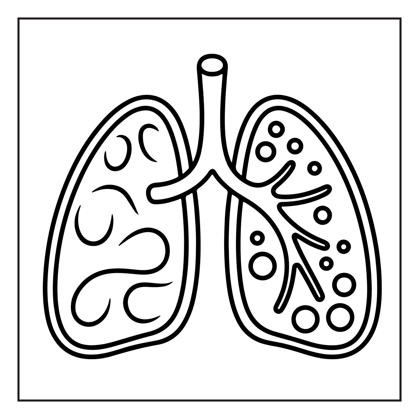 Human Physiology Coloring Book for Kids Young Boys Girls Teens Bold Easy Human Body Anatomy Coloring Activity Book Gift Children Students