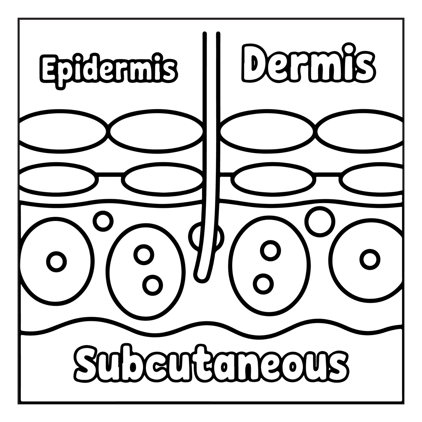 Human Physiology Coloring Book for Kids Young Boys Girls Teens Bold Easy Human Body Anatomy Coloring Activity Book Gift Children Students