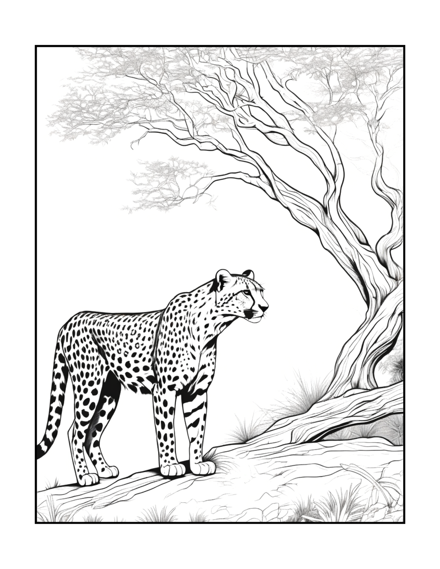 Cool Cheetah Coloring Book Gift for Adults Kids Boys Girls Teens Youth 50 Pages Single Sided Relaxation Wildlife Safari Zoo Animal Coloring