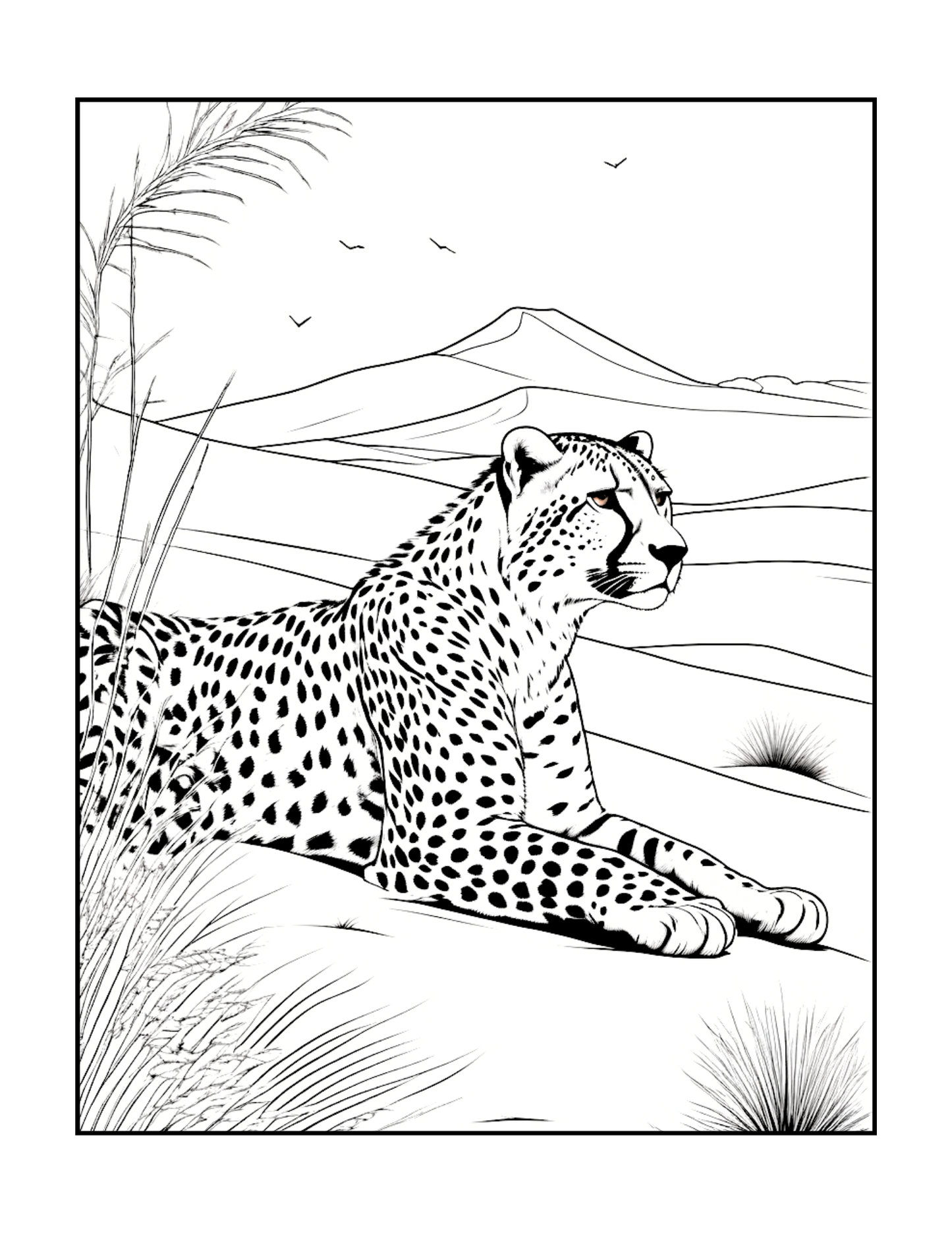 Cool Cheetah Coloring Book Gift for Adults Kids Boys Girls Teens Youth 50 Pages Single Sided Relaxation Wildlife Safari Zoo Animal Coloring