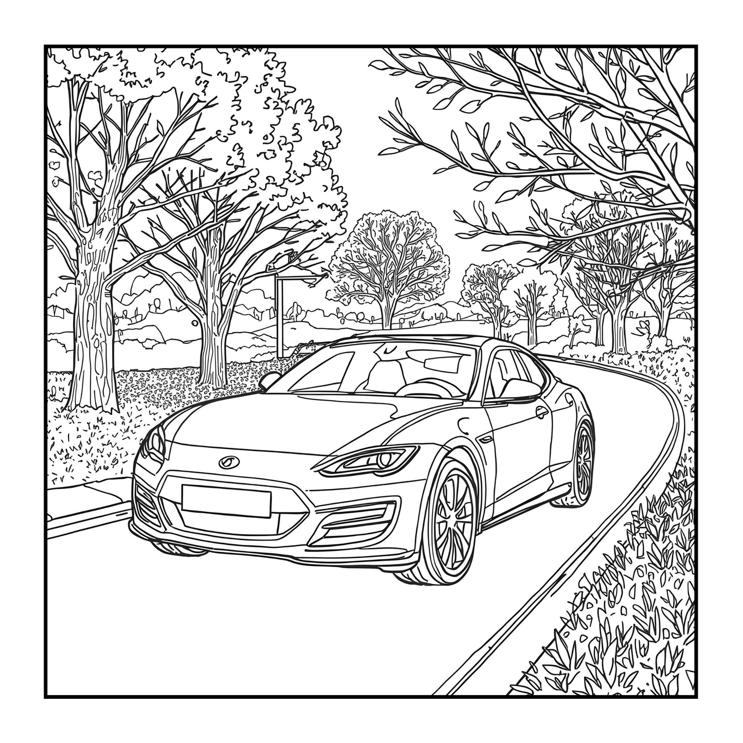 Modified Cars Coloring Book for Adults Men Women Kids Boys Girls Teens Drift Cars Coloring Activity Book Gift Modified Exotic Racing Cars