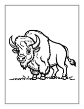 Load image into Gallery viewer, 50 Pages Bold and Easy Zoo Animal Coloring Book Gift for Adults Kids Men Women Boys Girls Teens Youth Jungle Wildlife Animals Coloring Book

