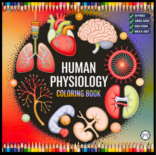 Human Physiology Coloring Book for Kids Young Boys Girls Teens Bold Easy Human Body Anatomy Coloring Activity Book Gift Children Students