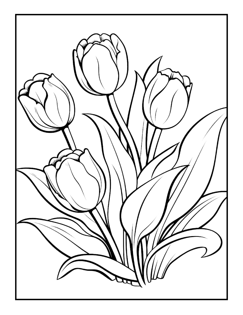 Cute Spring Coloring Book Gift for Adults Kids Young Boys Girls Bold and Easy Spring Coloring Sheets Stress Relief Relaxation Coloring Pages