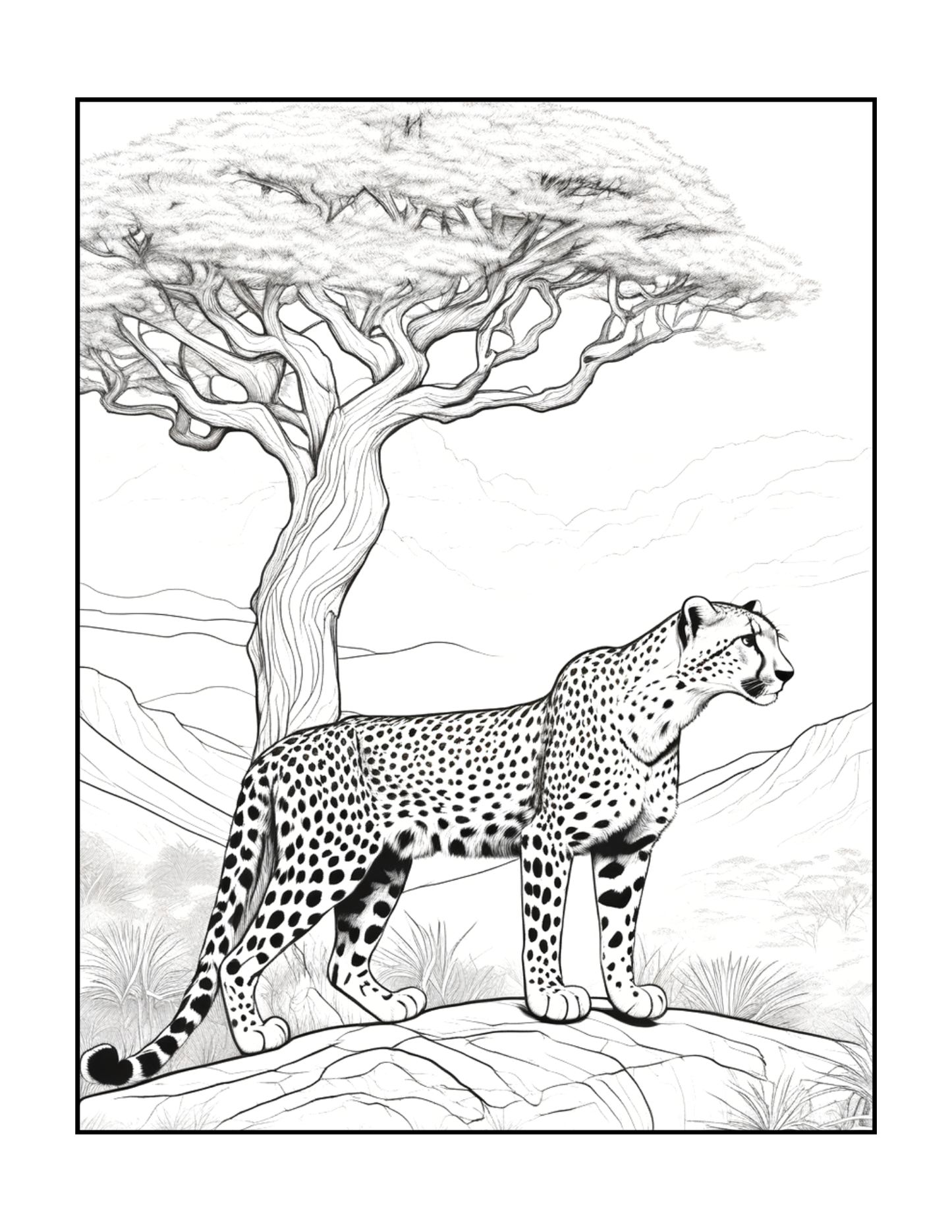 Cool Cheetah Coloring Book Gift for Adults Kids Boys Girls Teens Youth 50 Pages Single Sided Relaxation Wildlife Safari Zoo Animal Coloring
