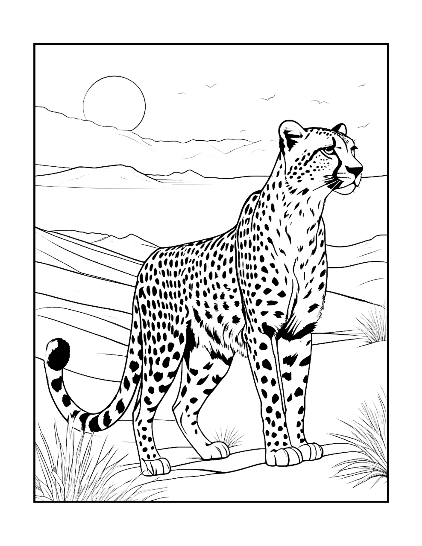 Cool Cheetah Coloring Book Gift for Adults Kids Boys Girls Teens Youth 50 Pages Single Sided Relaxation Wildlife Safari Zoo Animal Coloring