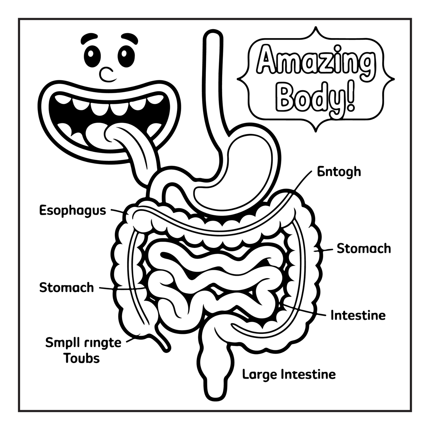 Human Physiology Coloring Book for Kids Young Boys Girls Teens Bold Easy Human Body Anatomy Coloring Activity Book Gift Children Students