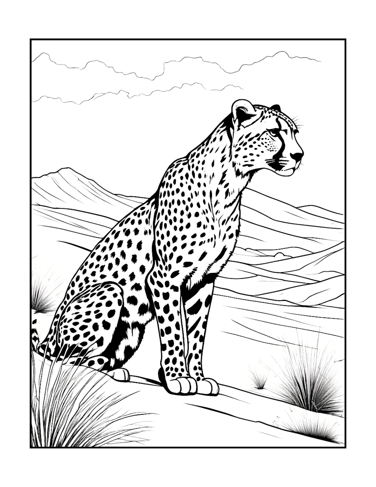 Cool Cheetah Coloring Book Gift for Adults Kids Boys Girls Teens Youth 50 Pages Single Sided Relaxation Wildlife Safari Zoo Animal Coloring