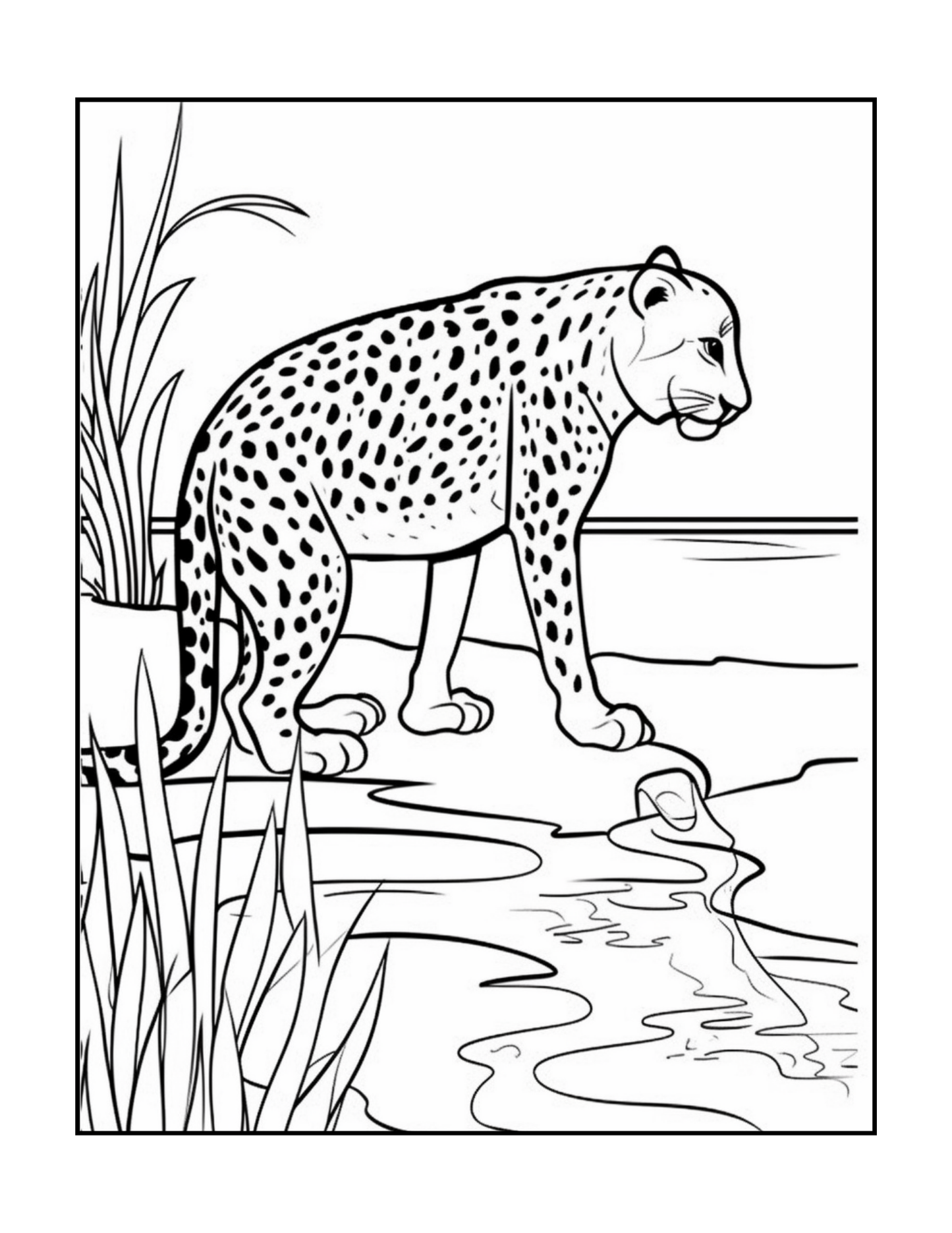 Cool Cheetah Coloring Book Gift for Adults Kids Boys Girls Teens Youth 50 Pages Single Sided Relaxation Wildlife Safari Zoo Animal Coloring