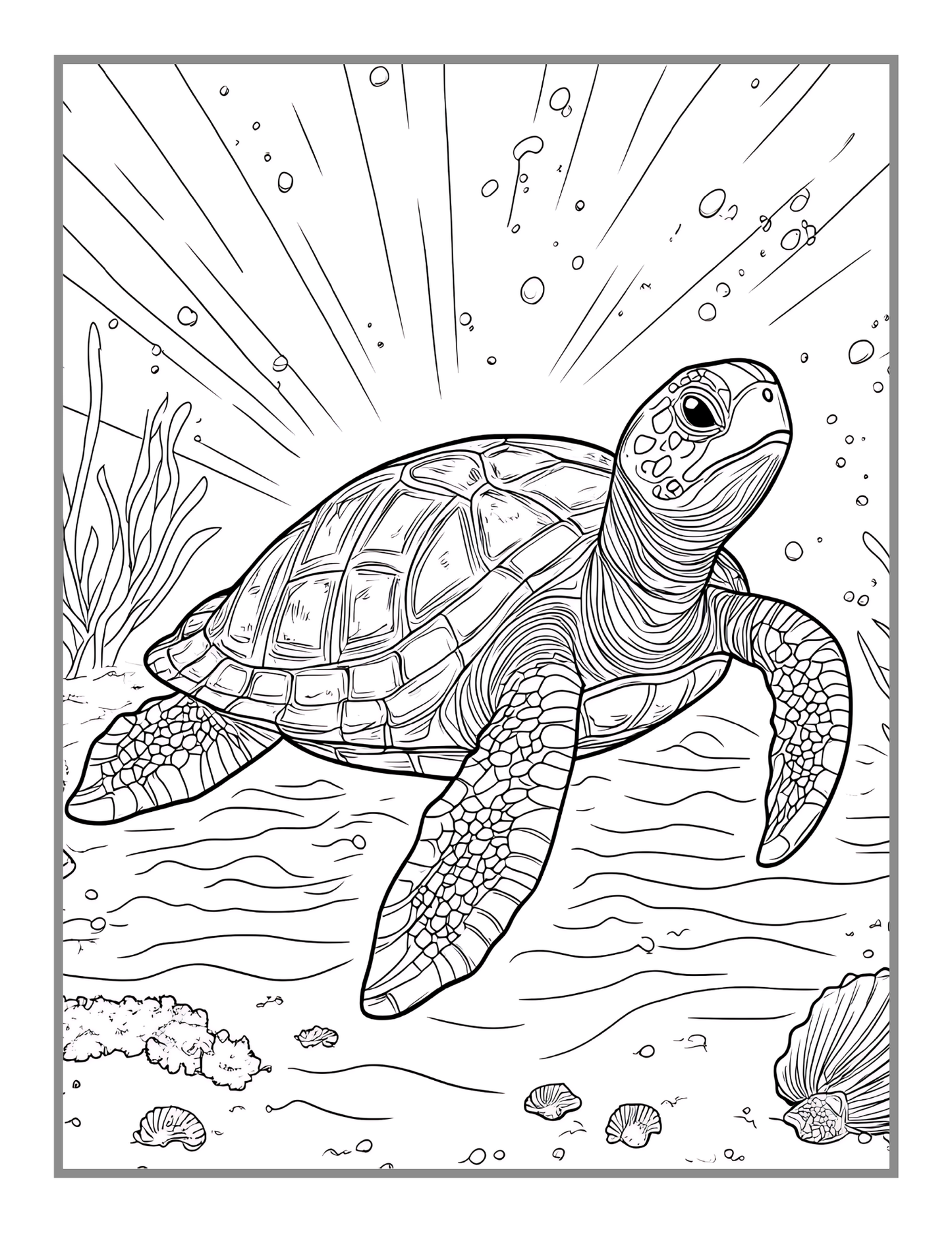 50 Pages Cute Sea Turtle Coloring Book Gift for Adults Kids Men Women Boys Girls Teens Youth Sea Life Ocean Creature Turtle Lover Coloring