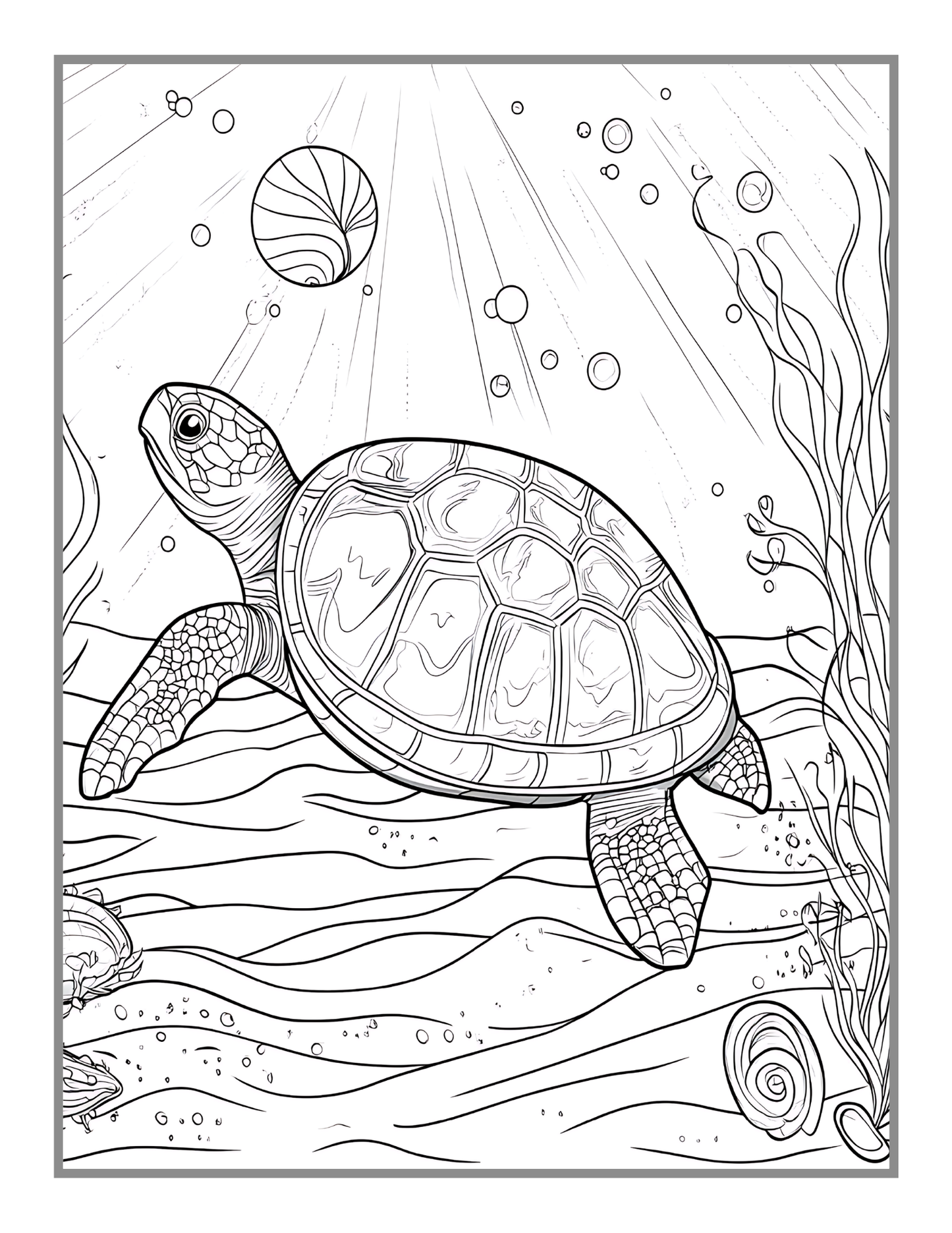 50 Pages Cute Sea Turtle Coloring Book Gift for Adults Kids Men Women Boys Girls Teens Youth Sea Life Ocean Creature Turtle Lover Coloring