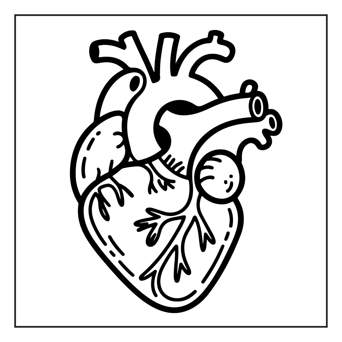 Human Physiology Coloring Book for Kids Young Boys Girls Teens Bold Easy Human Body Anatomy Coloring Activity Book Gift Children Students