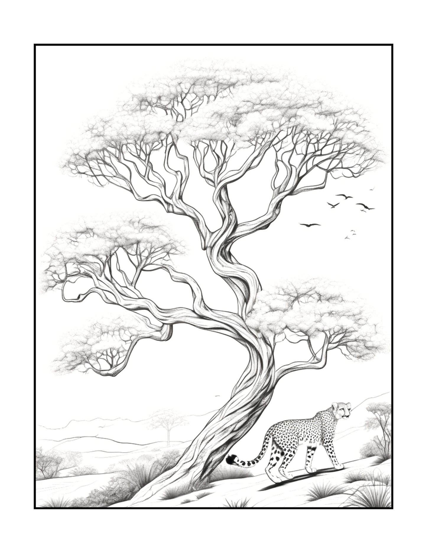 Cool Cheetah Coloring Book Gift for Adults Kids Boys Girls Teens Youth 50 Pages Single Sided Relaxation Wildlife Safari Zoo Animal Coloring