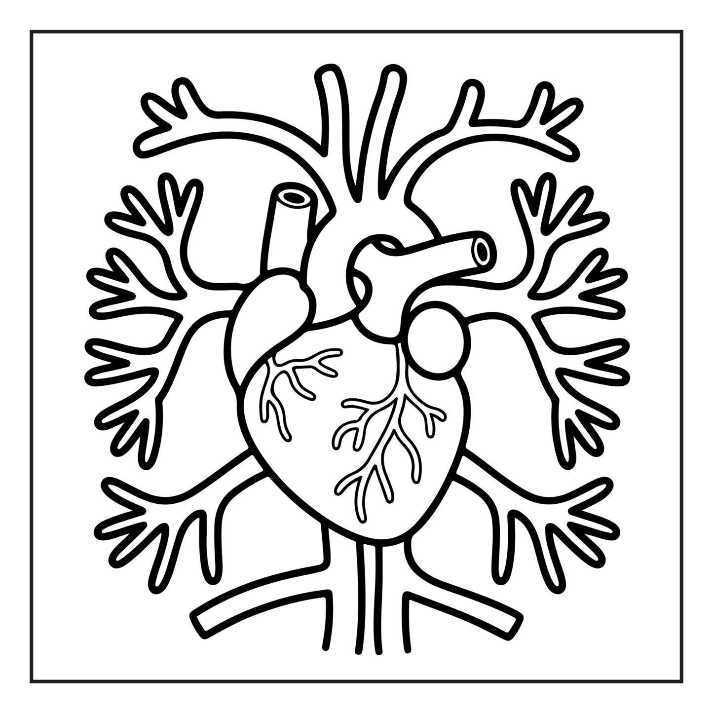 Human Physiology Coloring Book for Kids Young Boys Girls Teens Bold Easy Human Body Anatomy Coloring Activity Book Gift Children Students