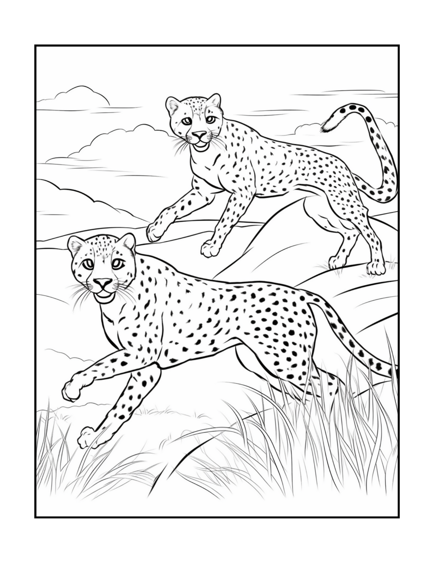 Cool Cheetah Coloring Book Gift for Adults Kids Boys Girls Teens Youth 50 Pages Single Sided Relaxation Wildlife Safari Zoo Animal Coloring