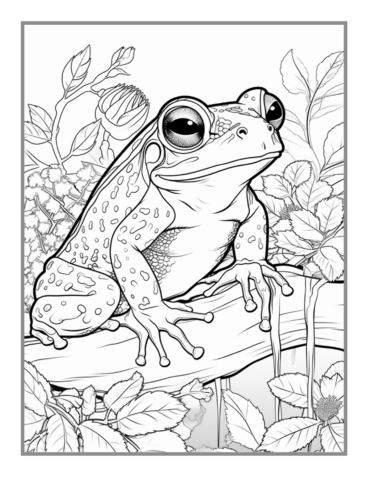 Cute Frog Toad Coloring Book Gift for Adults Kids Men Women Boys Girls Teens 50 Pages Frog Toad Coloring Sheets for Children Students