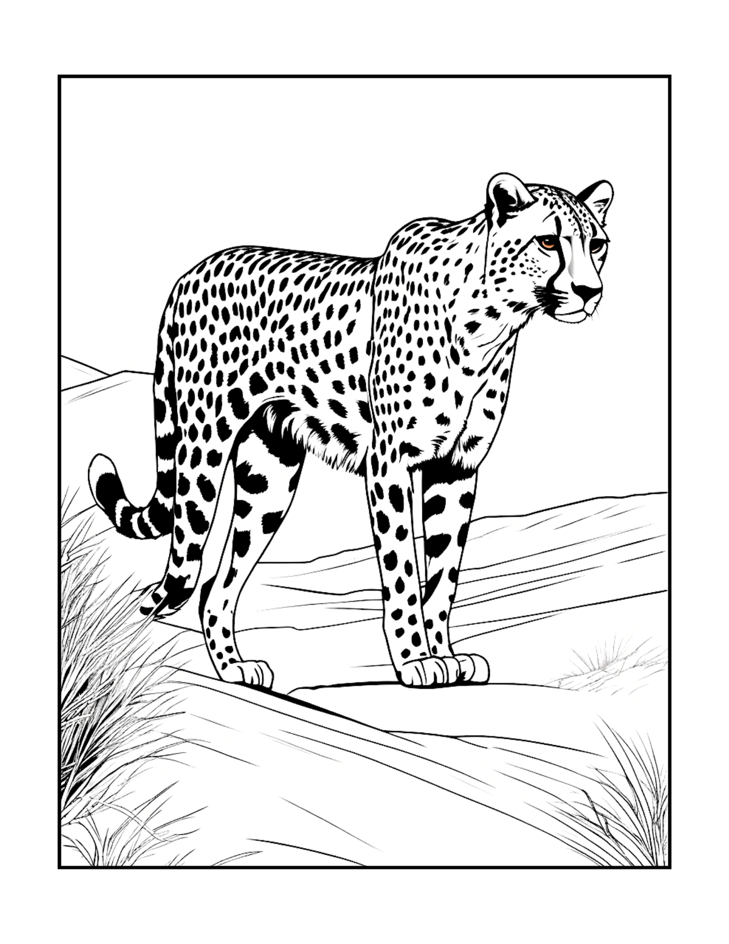 Cool Cheetah Coloring Book Gift for Adults Kids Boys Girls Teens Youth 50 Pages Single Sided Relaxation Wildlife Safari Zoo Animal Coloring