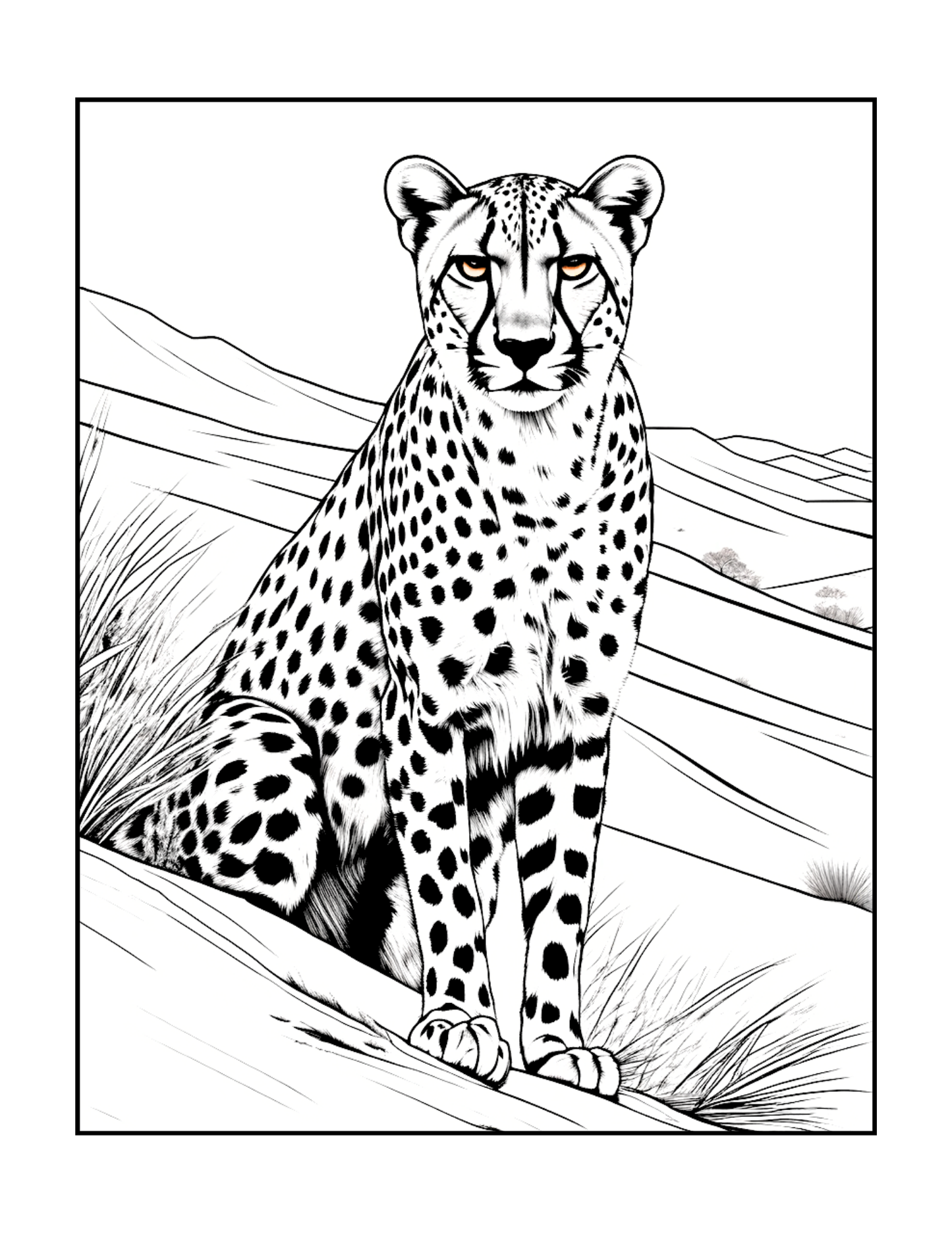 Cool Cheetah Coloring Book Gift for Adults Kids Boys Girls Teens Youth 50 Pages Single Sided Relaxation Wildlife Safari Zoo Animal Coloring