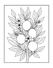 Load image into Gallery viewer, Botanical Coloring Book for Adults and Kids, Printed Physical Book, 25 Bold Easy Plant Designs, Single Sided Nature Art Therapy Gift
