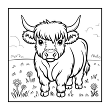 Load image into Gallery viewer, Highland Cow Coloring Book Gift for Adults Kids Boys Girls Teens: Single Sided Pages 25 Designs Cozy Cow Coloring Book for Children
